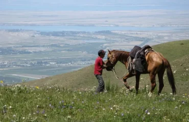 Karakol, KG